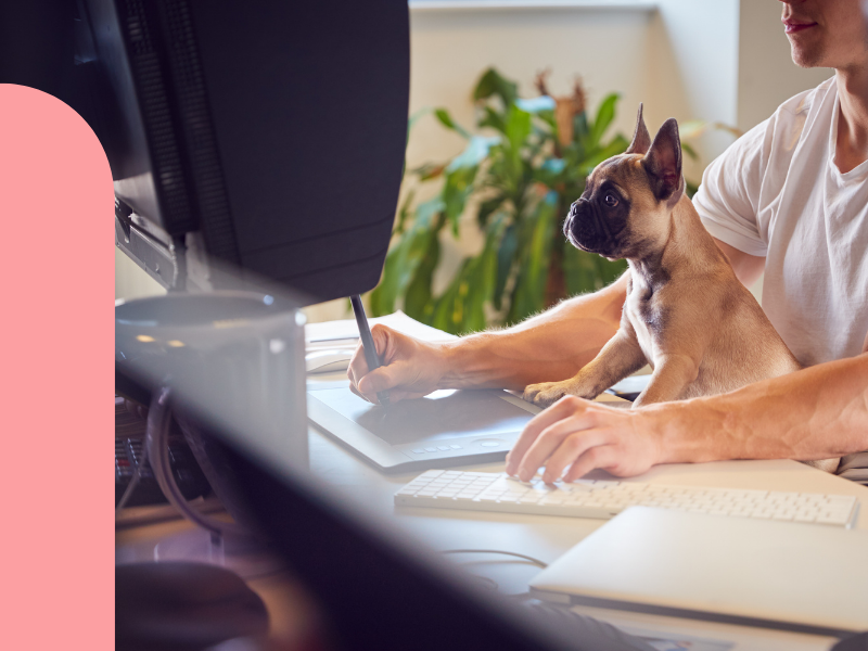 Untitled (800 x 300 px) (11)